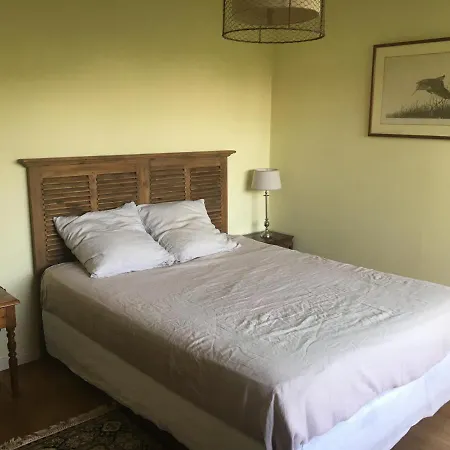 Villa Charmante Au Cap Ferret A 2 Pas Du Bassin