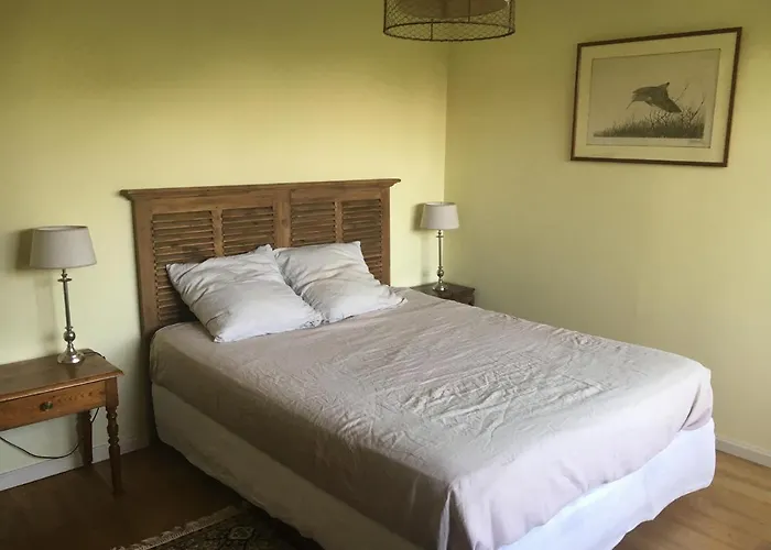 Villa Charmante Au Cap Ferret à 2 Pas Du Bassin